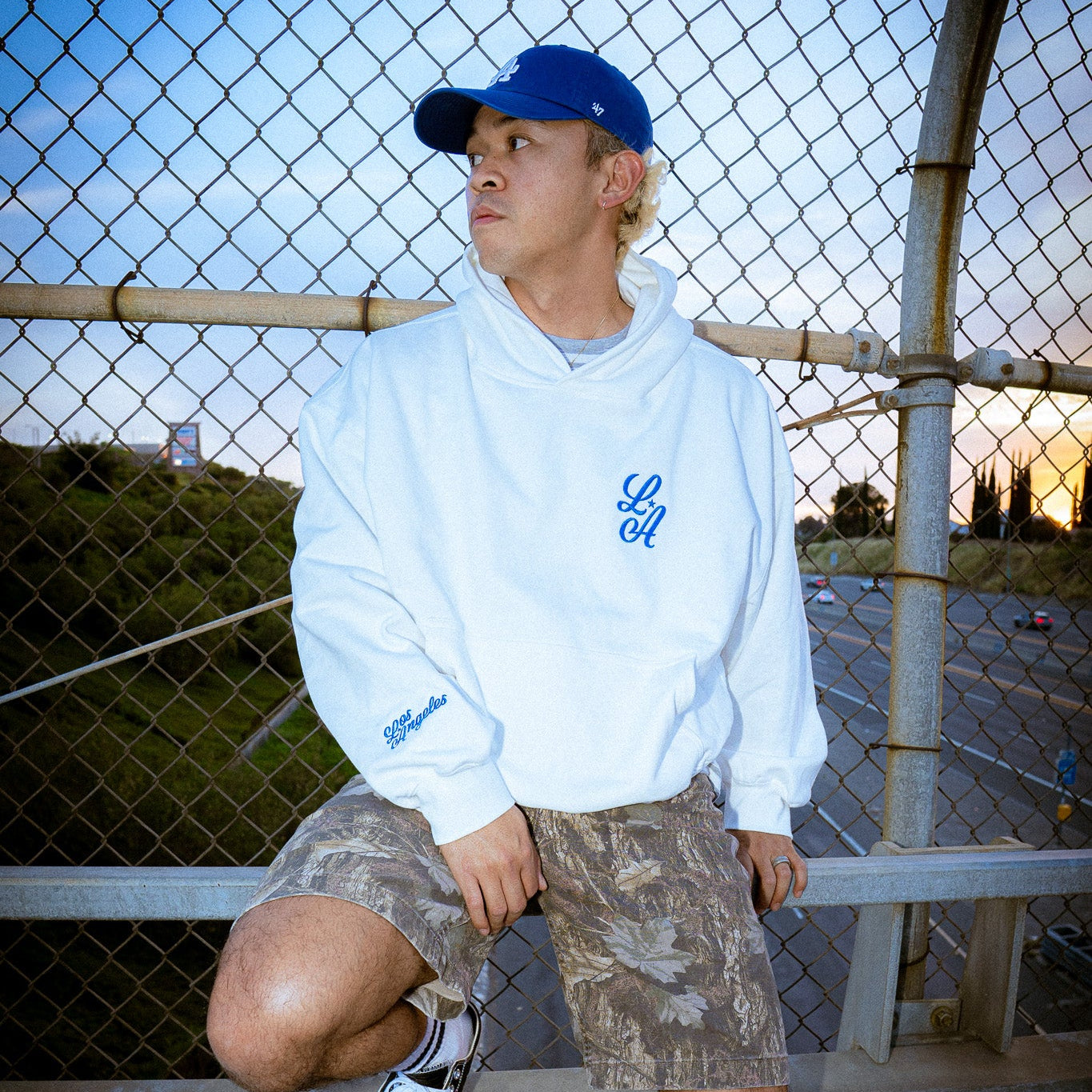 "LA WORLD SERIES" Embroidered Boxy Hoodie